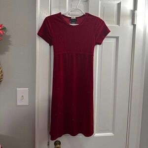 Speechless velvet dress